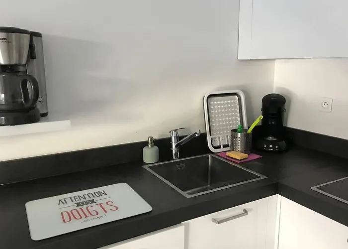 App Le Rocazur Avec Piscine Et Parking En Bord De A 500m Du Centre Mentona