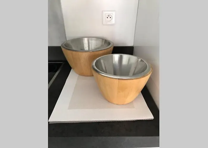 App Le Rocazur Avec Piscine Et Parking En Bord De A 500m Du Centre Mentona