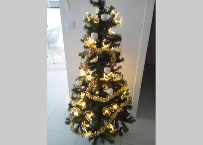 App Le Rocazur Avec Piscine Et Parking En Bord De à 500m Du Centre Appartement *